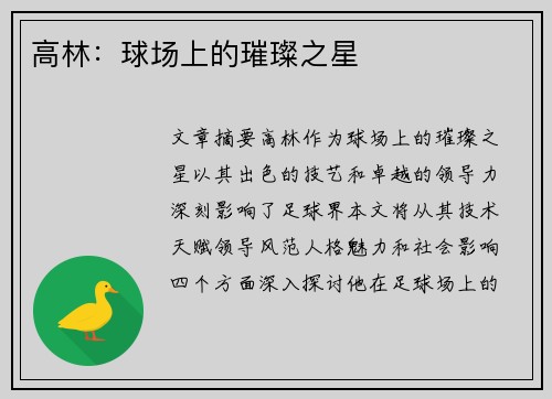 高林：球场上的璀璨之星